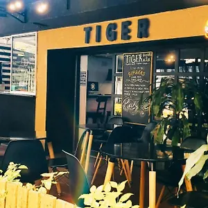 Tiger קולומביה